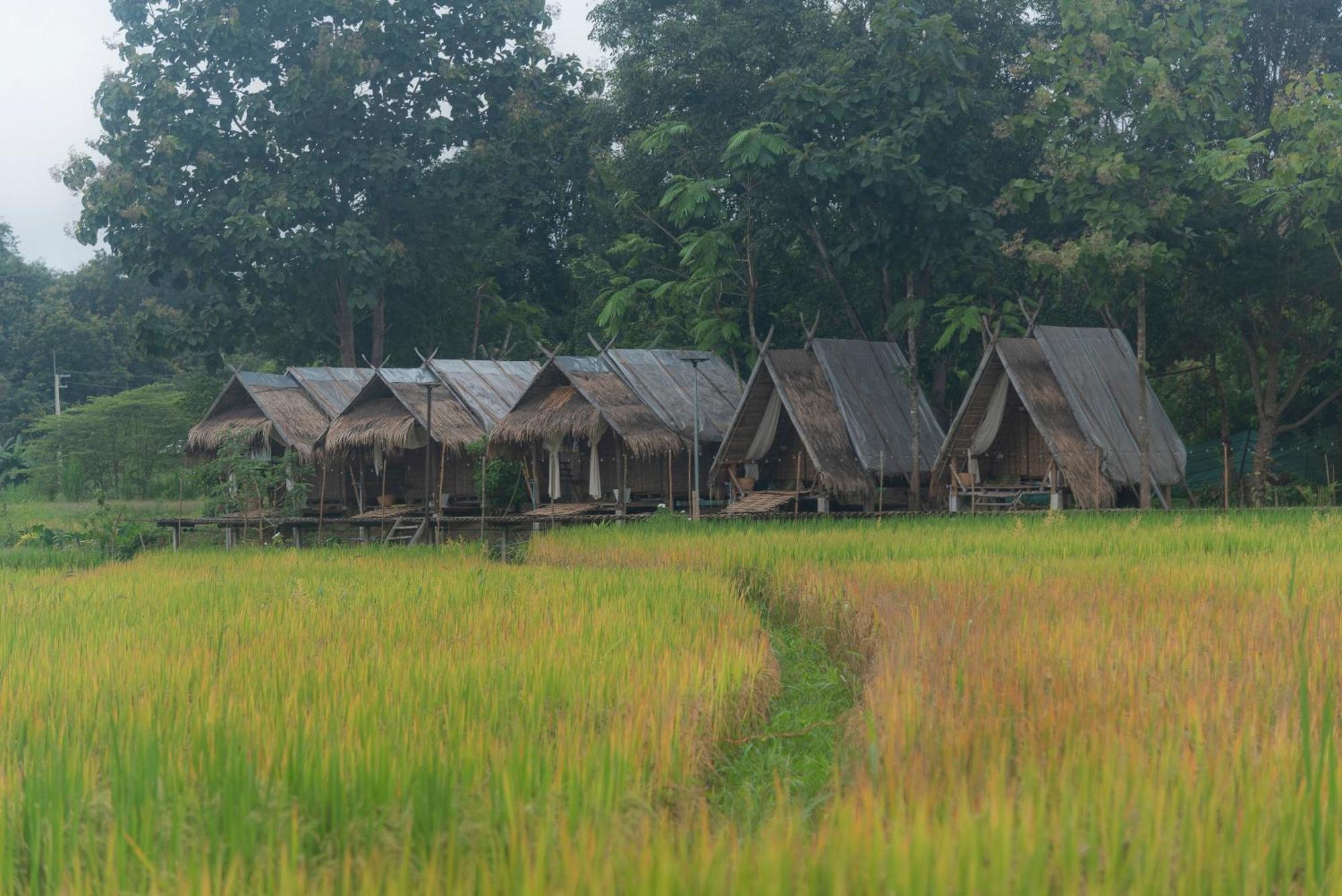 Paddy Fields Haven - Natures Nest Pai Ngoại thất bức ảnh