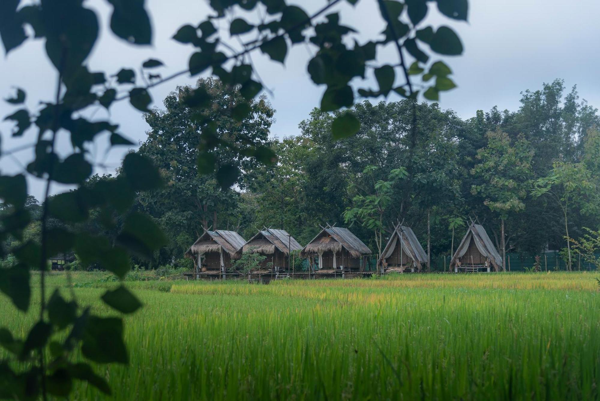 Paddy Fields Haven - Natures Nest Pai Ngoại thất bức ảnh