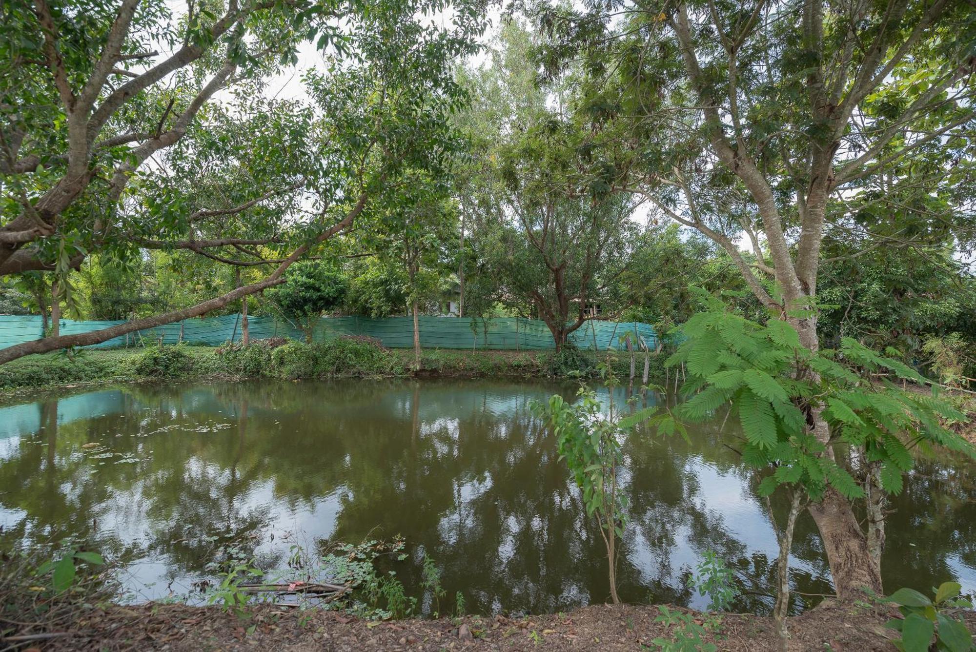 Paddy Fields Haven - Natures Nest Pai Ngoại thất bức ảnh