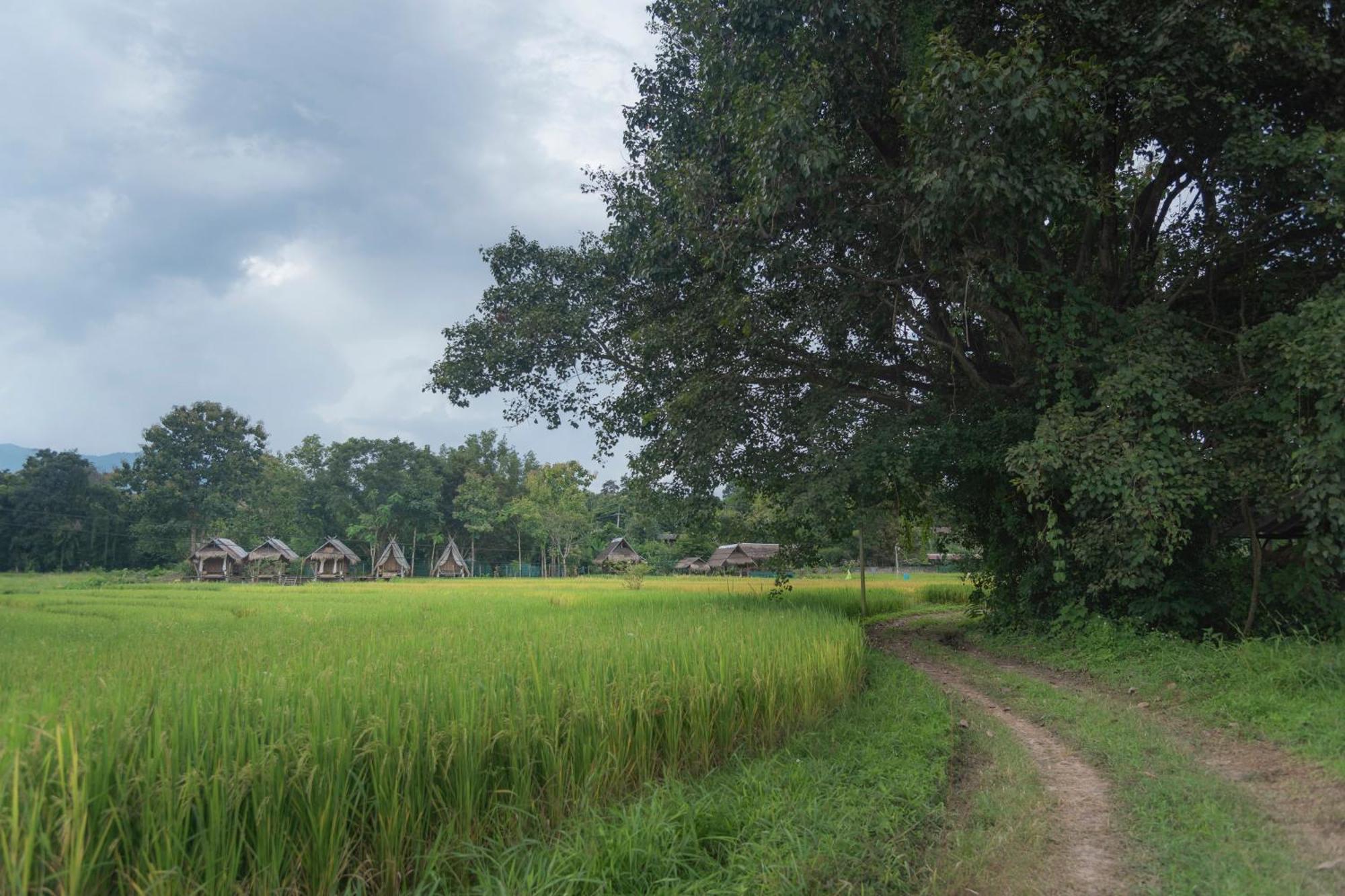 Paddy Fields Haven - Natures Nest Pai Ngoại thất bức ảnh