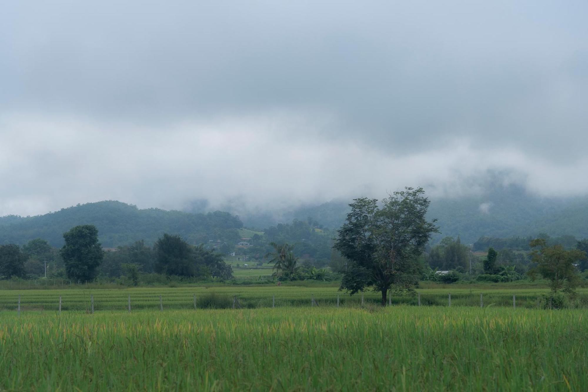 Paddy Fields Haven - Natures Nest Pai Ngoại thất bức ảnh