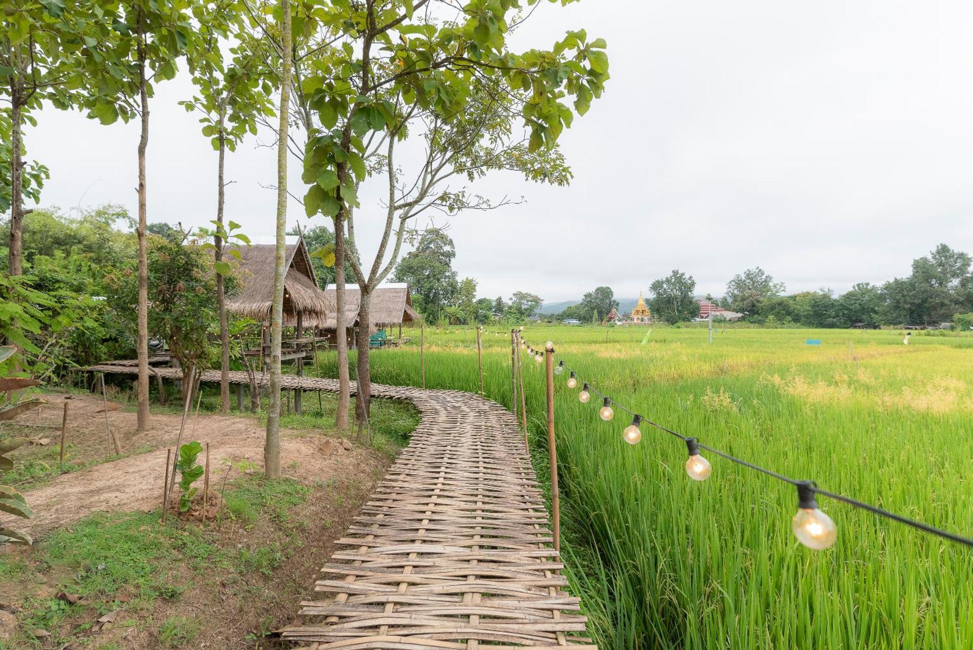 Paddy Fields Haven - Natures Nest Pai Ngoại thất bức ảnh