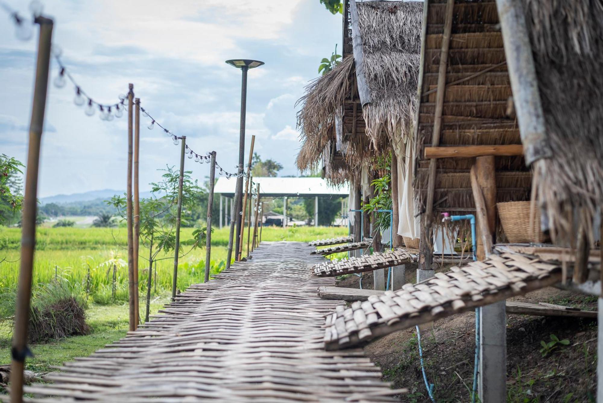 Paddy Fields Haven - Natures Nest Pai Ngoại thất bức ảnh