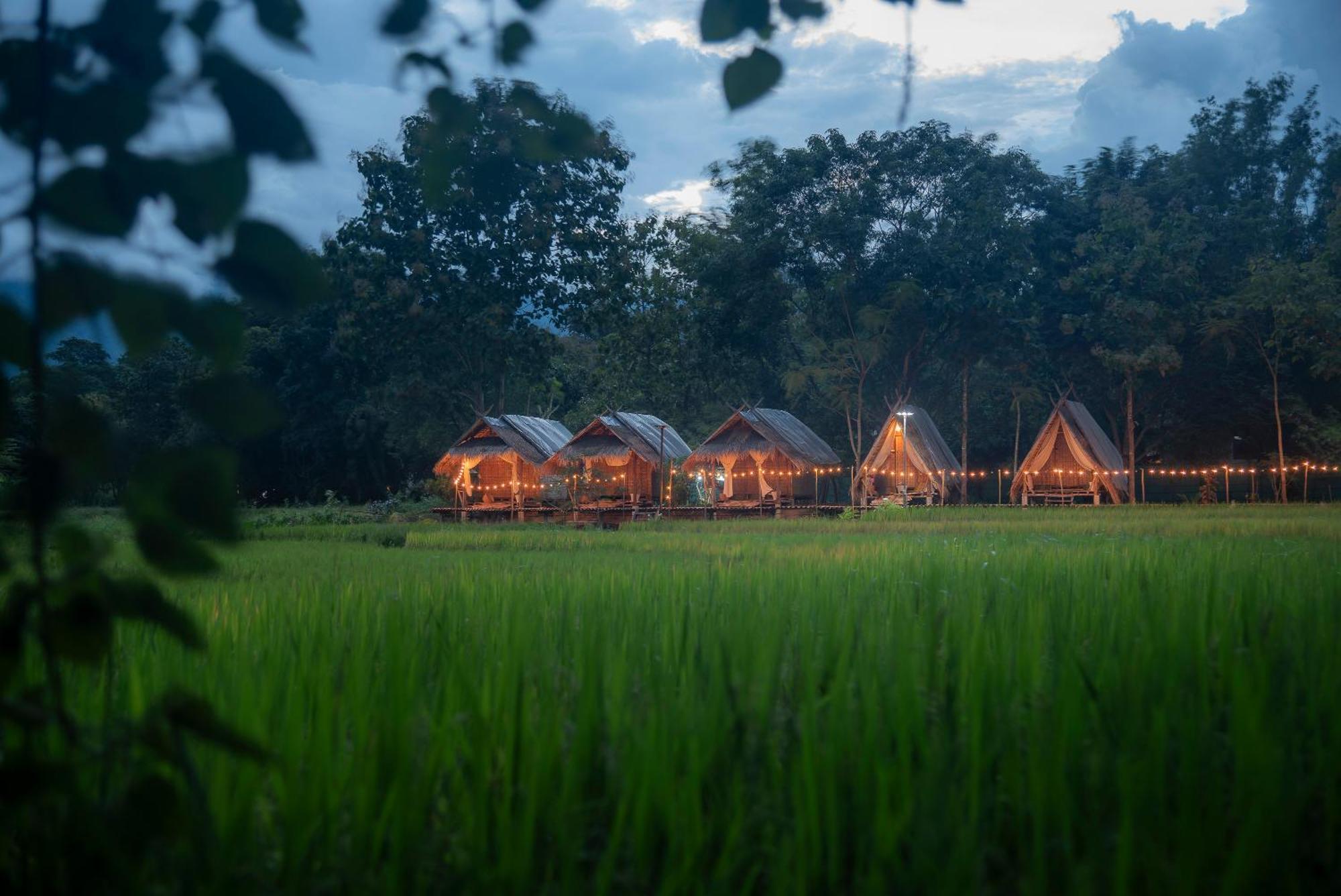 Paddy Fields Haven - Natures Nest Pai Ngoại thất bức ảnh