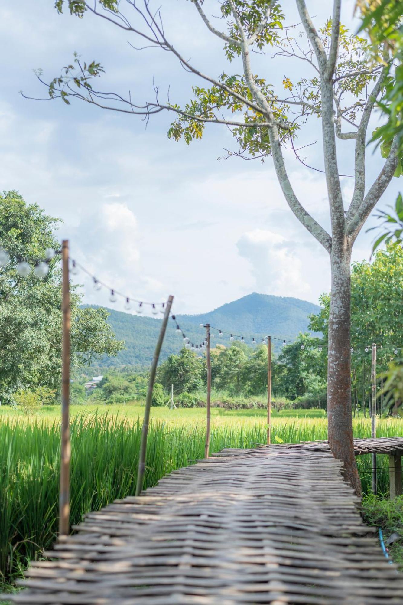Paddy Fields Haven - Natures Nest Pai Ngoại thất bức ảnh