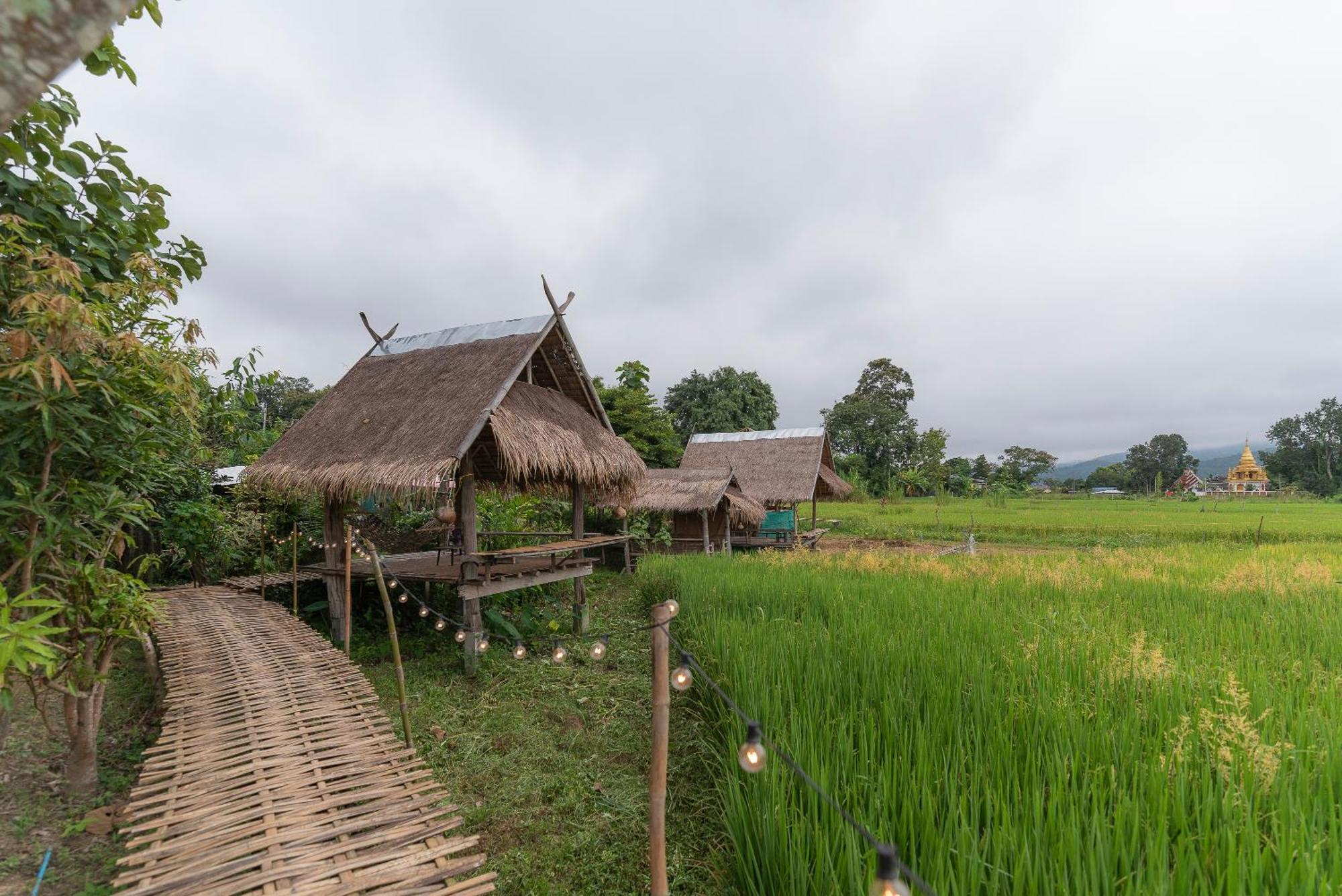 Paddy Fields Haven - Natures Nest Pai Ngoại thất bức ảnh