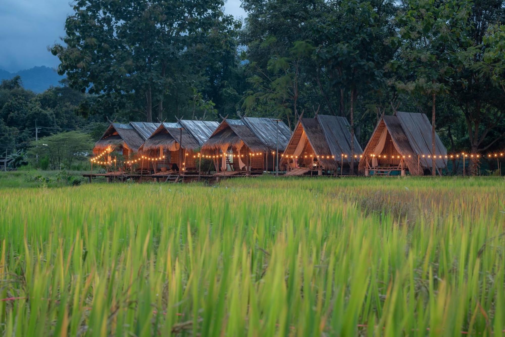 Paddy Fields Haven - Natures Nest Pai Ngoại thất bức ảnh